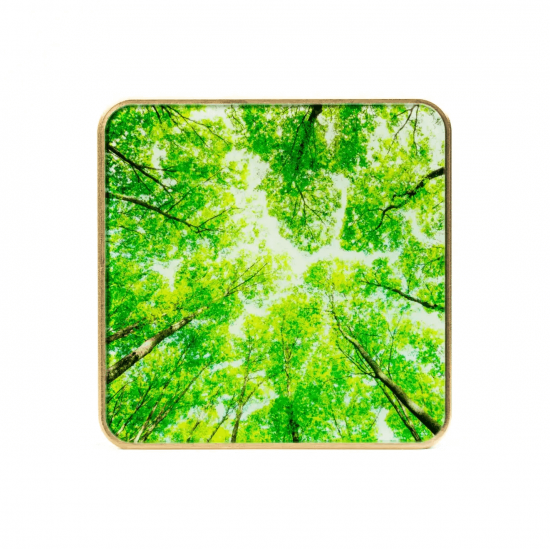 CO2 gaisa kvalitātes sensors - AIRVALENT Gold Treetops